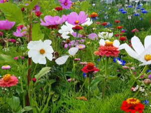 ����� ���������� ������� � ������� ������ - ����