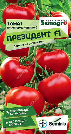   F1 - 