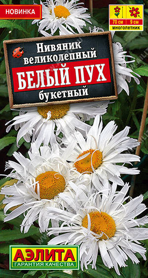Нивяник великолепный Белый пух букетный - фото Нивяник великолепный Белый пух букетный - фото