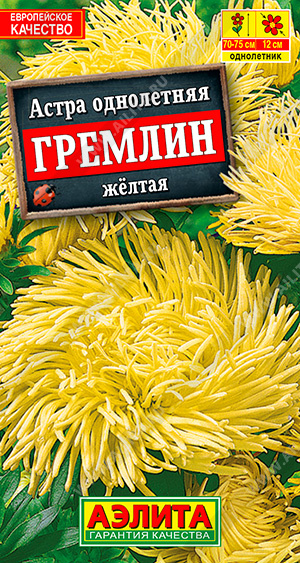 Астра Гремлин желтая - фото