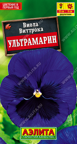Виола Ультрамарин - фото Виола Ультрамарин - фото