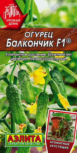   F1 - 