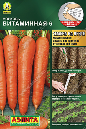   6 - 