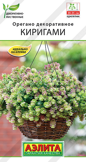 Орегано декоративное Киригами - фото Орегано декоративное Киригами - фото