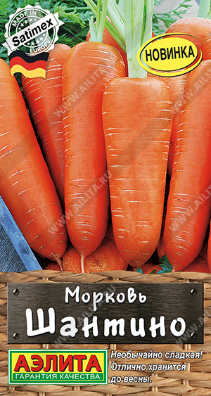 Морковь Шантино - фото