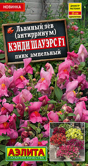 Львиный зев Кэнди Шауэрс F1 пинк ампельный - фото Львиный зев Кэнди Шауэрс F1 пинк ампельный - фото