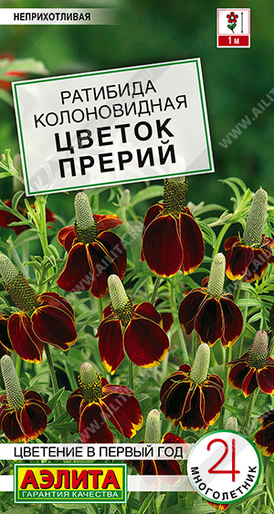 Ратибида Цветок прерий - фото Ратибида Цветок прерий - фото