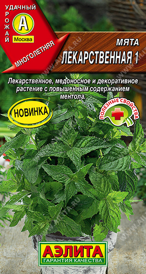 Мята Лекарственная 1 - фото Мята Лекарственная 1 - фото