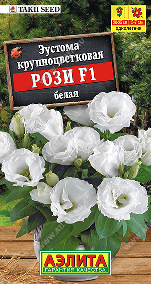   F1    - 