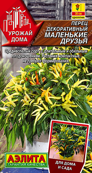 ����� ������������ ��������� ������ - ����