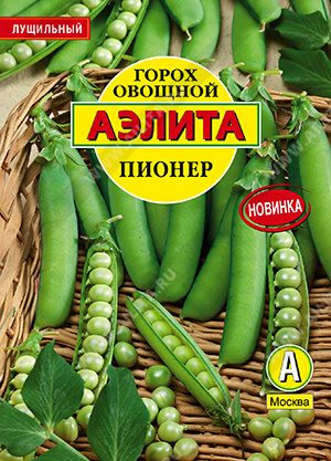 Горох овощной Пионер - фото Горох овощной Пионер - фото