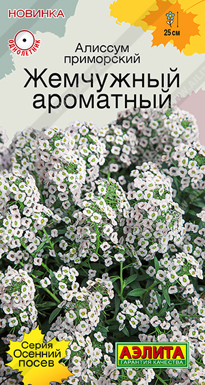Алиссум Жемчужный ароматный - фото Алиссум Жемчужный ароматный - фото