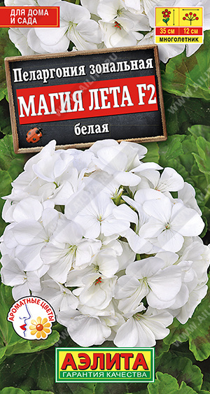    F2  - 