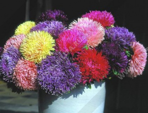 ����� ��������� ������, ����� ������ - ����