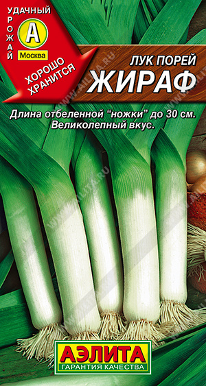 ��� ����� ����� - ����