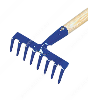 ������ ��������� 8-���. _ - ����