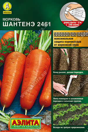 Морковь Шантенэ 2461 - фото