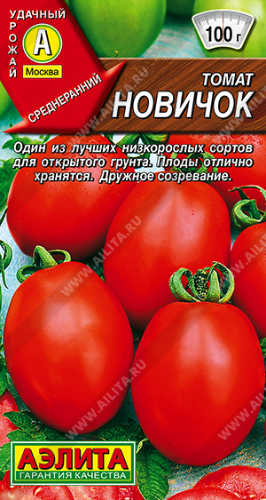 Томат Новичок - фото