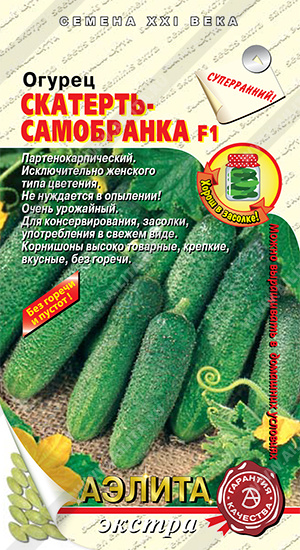 ������ ��������-���������� F1 - ����