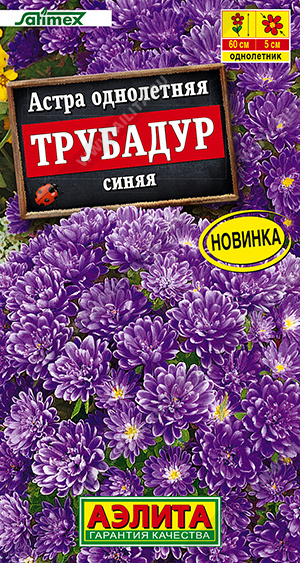 Астра Трубадур синяя - фото