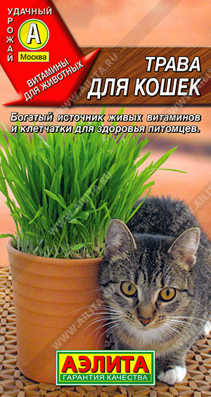 Трава для кошек - фото