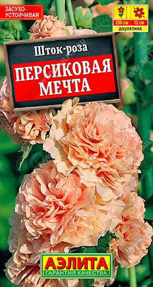Шток-роза Персиковая мечта - фото