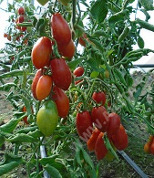   3 - 