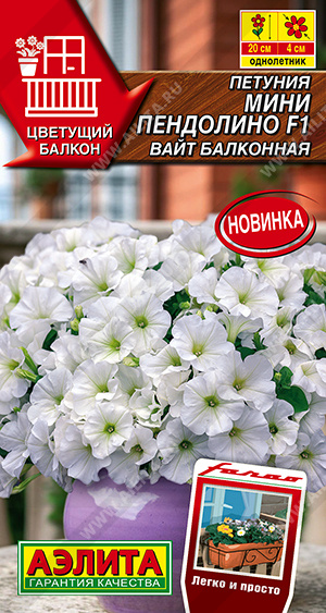 Петуния мини Пендолино F1 вайт балконная - фото Петуния мини Пендолино F1 вайт балконная - фото