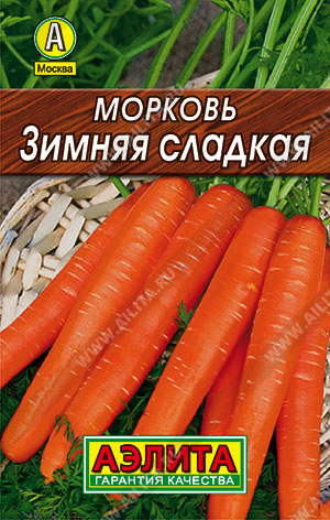 Морковь Зимняя сладкая - фото