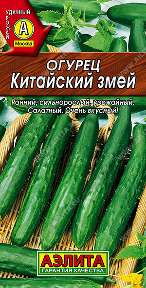 Огурец Китайский змей - фото Огурец Китайский змей - фото