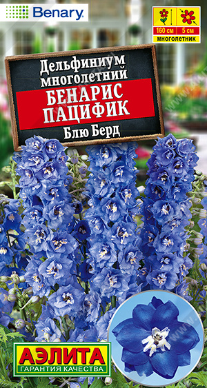Дельфиниум Бенарис пацифик блю берд - фото