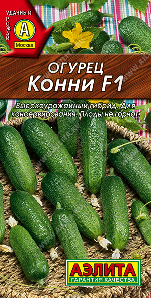   F1 - 