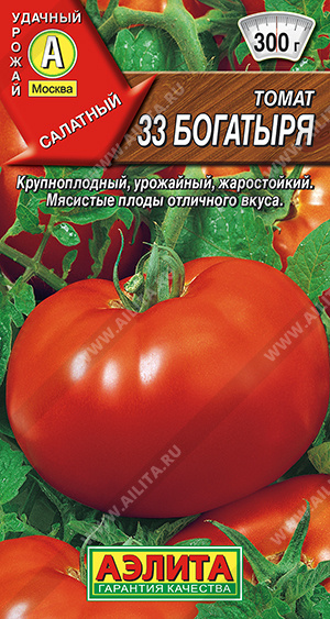  33  - 