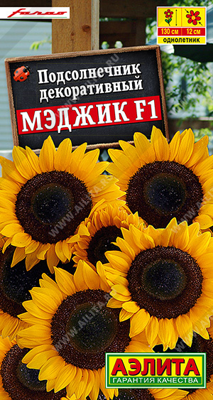    F1 - 