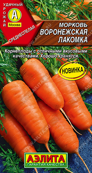 Морковь Воронежская лакомка - фото Морковь Воронежская лакомка - фото