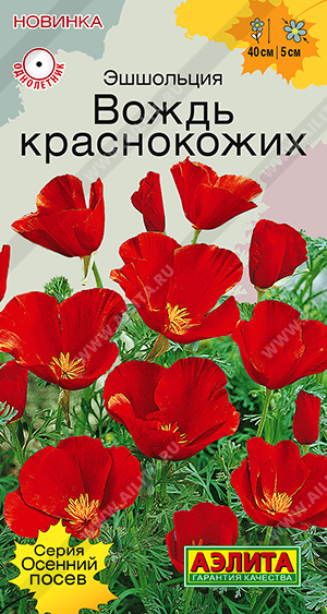 Эшшольция Вождь краснокожих - фото