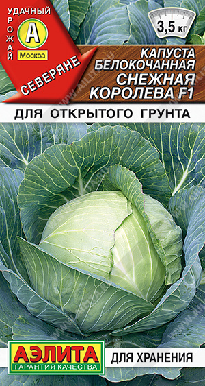  /   F1 - 