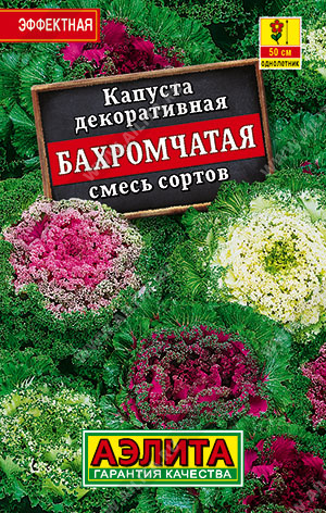 Капуста декоративная Бахромчатая, смесь сортов - фото Капуста декоративная Бахромчатая, смесь сортов - фото