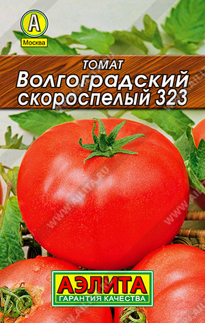 ����� ������������� ����������� 323 - ����