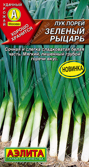 Лук порей Зеленый рыцарь - фото Лук порей Зеленый рыцарь - фото