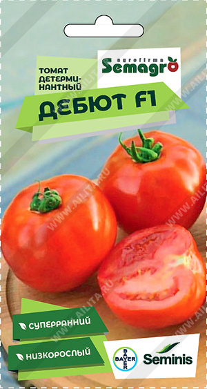   F1 - 