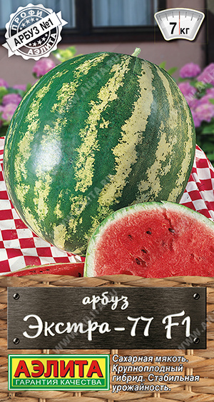  -77 F1 - 