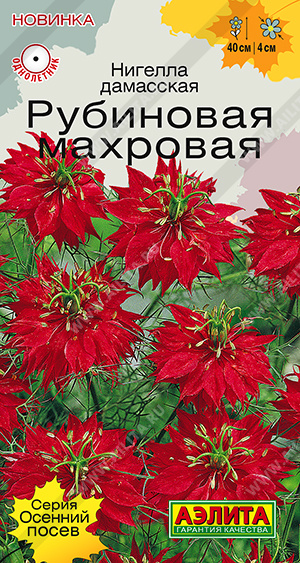 Нигелла Рубиновая махровая - фото Нигелла Рубиновая махровая - фото