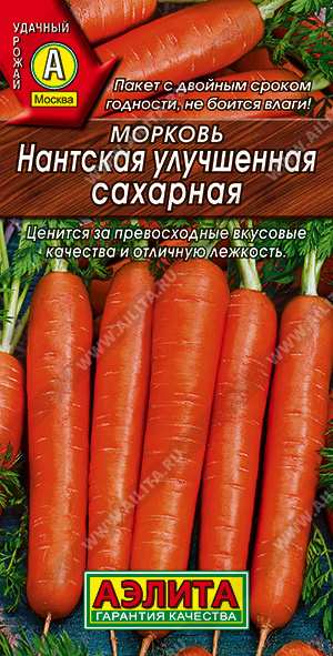 Морковь Нантская улучшенная сахарная - фото