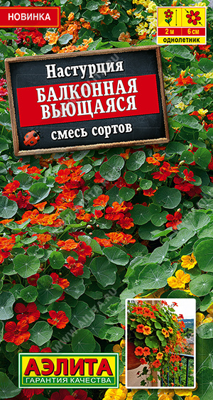 Настурция Балконная вьющаяся, смесь сортов - фото