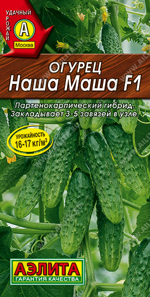    F1 - 