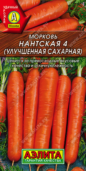Морковь Нантская 4 (УЛУЧШЕННАЯ САХАРНАЯ) - фото Морковь Нантская 4 (УЛУЧШЕННАЯ САХАРНАЯ) - фото