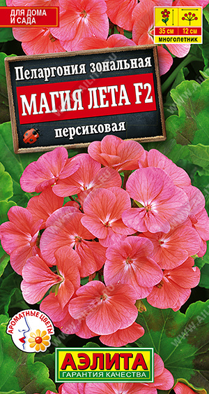    F2  - 