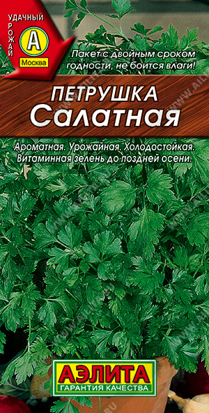 Петрушка листовая Салатная - фото