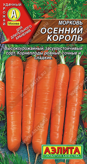 Морковь Осенний король - фото